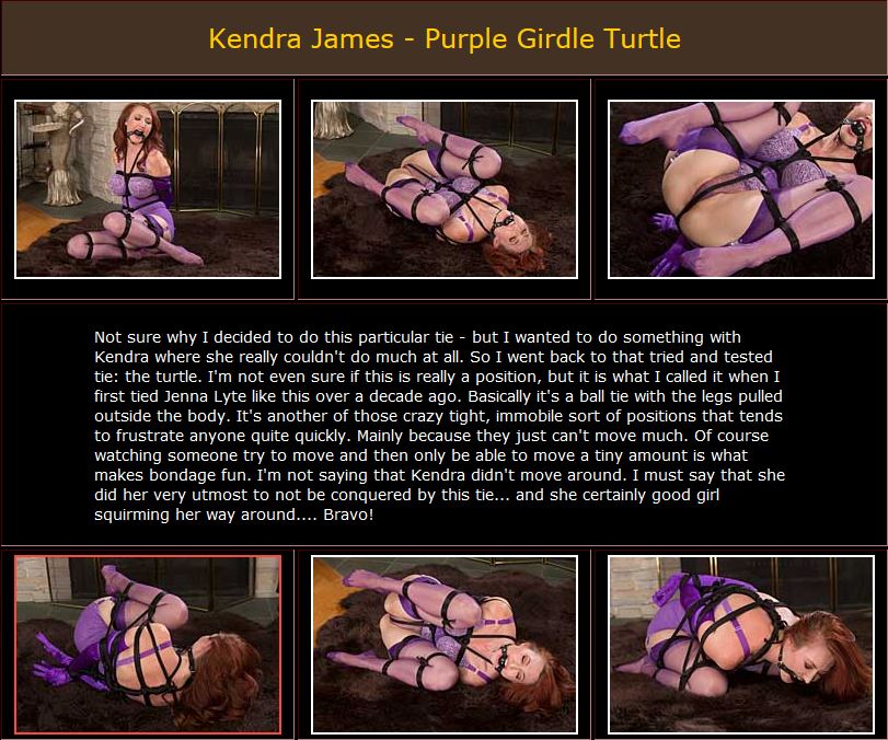 Kendra James - Purple Girdle Turtle