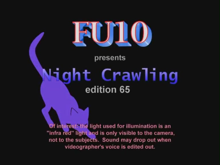 FU10 Night Crawling #65 / FU10 Ночной обход #65