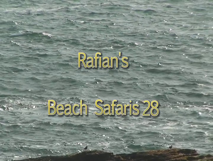 Rafian s Beach Safaris #28